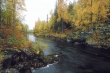 Syksy ala-arajoki(MA).jpg